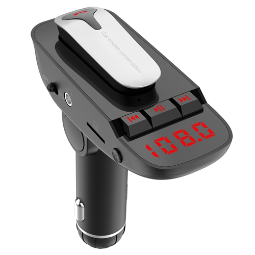 Car GPS &amp; FM Transmitter
