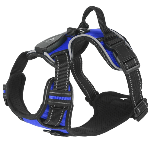 Dog Leash &amp; Harness