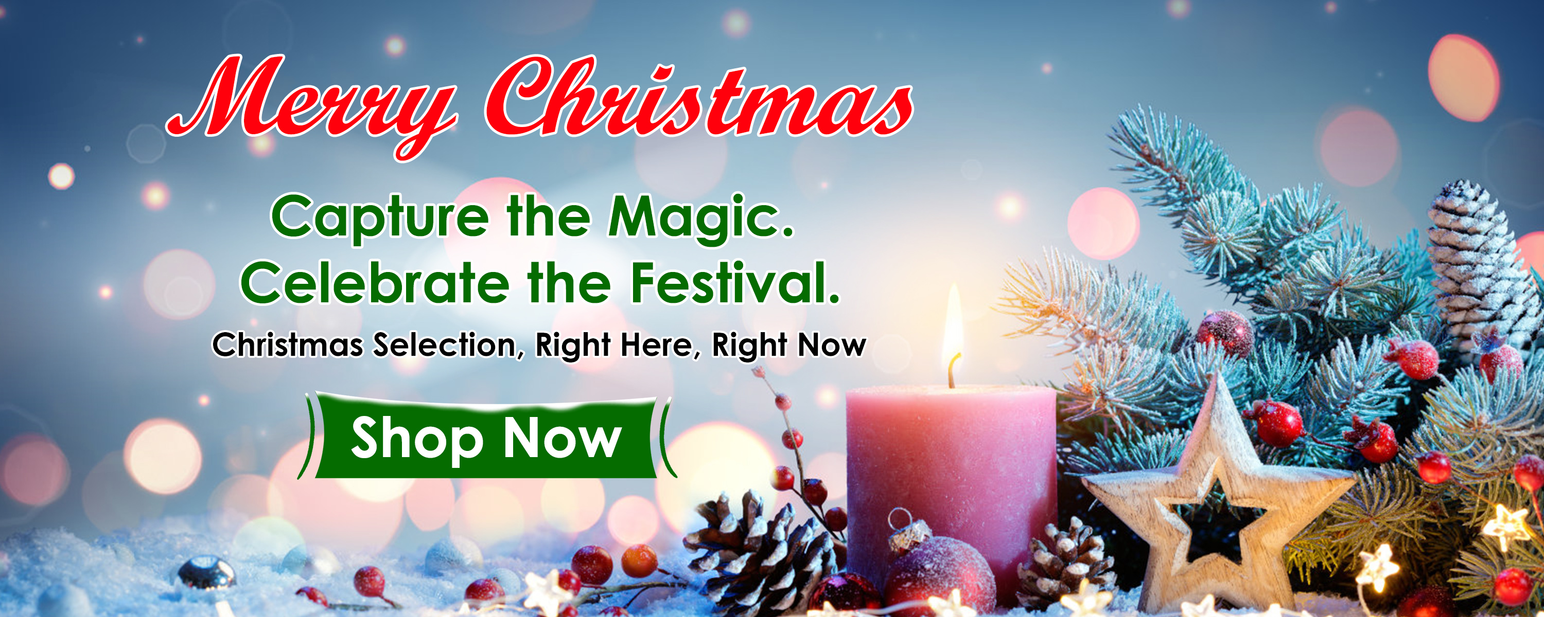 Your Trusted #1 Wholesale & Dropshipping Distributor in the US!