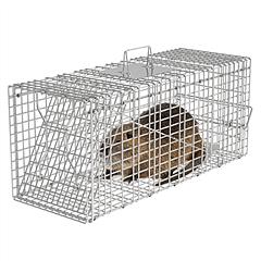 Humane Cat Trap Cage Catch Release Live Animal Rodent Cage Collapsible Galvanized Wire for Raccoons Beavers Groundhogs Foxes Armadillos